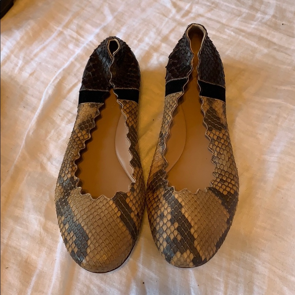Chloé Lauren Scalloped Snake-Embossed Ballet Flat